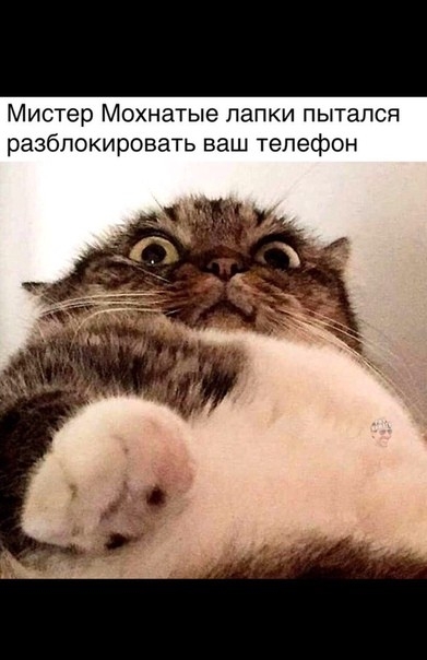 Мистер МОХНЗТЫЭ папки ПЫТЭЛСЯ разблокировать ваш телефон