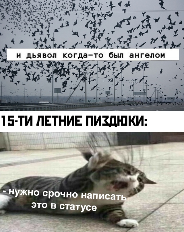 с змий ЗЁЁАЁ14ЁгтЁііа ёк и дьявол когда то был ангела 15 ти пвтнив пиздшК