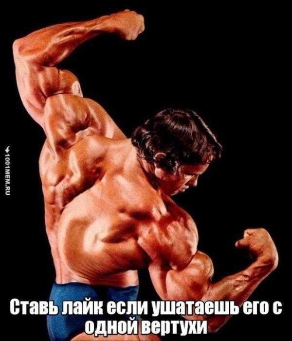 од иойше ШШ