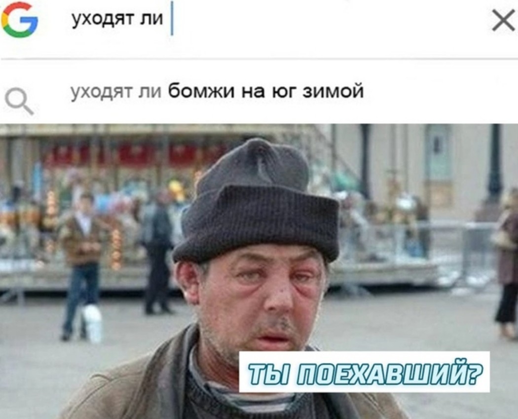 С уходят пи уходят ли бомжи на юг зимой