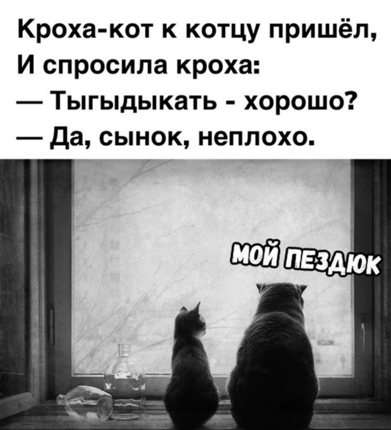 Кроха кот к котцу пришёл И спросила кроха Тыгыдыкать хорошо Да сынок неплохо