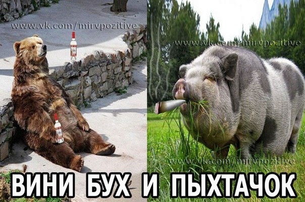 шыш чс