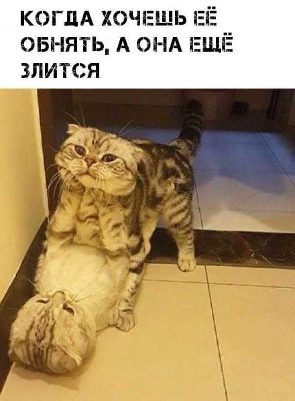когпА хэчпгшь ЕЁ ОБНЯТЬ А ОНА ЕЩЁ ЗЛИТСЯ