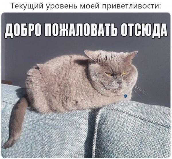 Текущий уровень моей приветливости довго П0ЖАЛПВАТЬ ПЮЮДА
