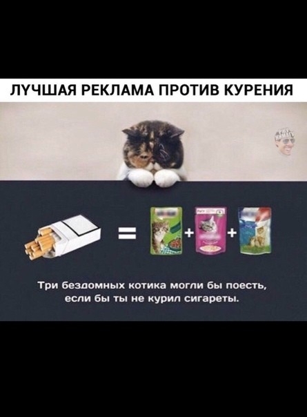 ЛУЧШАЯ РЕКЛАМА ПРОТИВ КУРЕНИЯ Три Бездпмищ котика могли бы поесть если Бы не купил сигареты