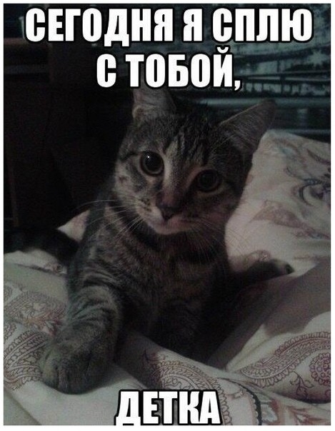 ВЕШДНЯ Я ПЛЮ 0 ТПБПИ