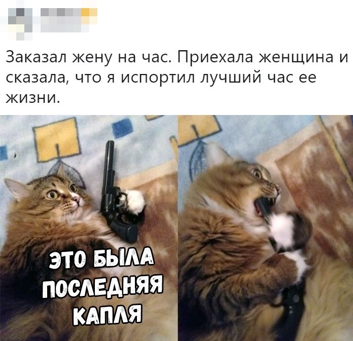 Заказал жену Нд ЧЭС Приехала женщина И СКЭЗдЛд ЧТО Я ИСПОРТИЛ ЛУЧШИЙ ЧдС ее ЖИЗНИ