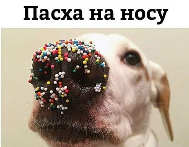 Пасха на носу