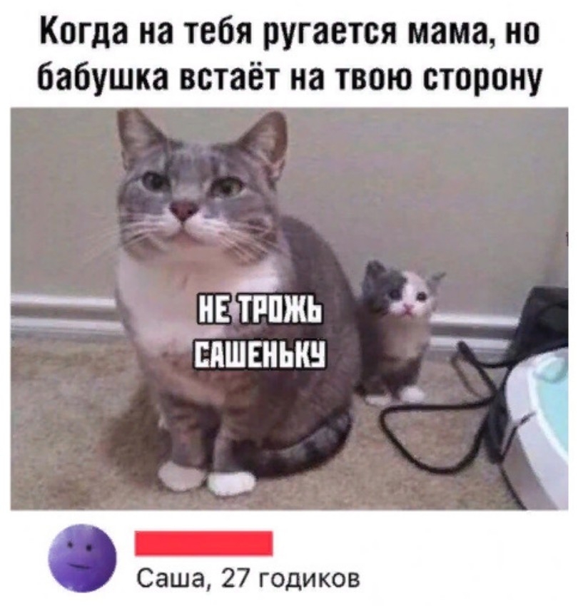 Когда на тебя ругается мама но бабушка встаёт на твою сторону ю НЕЧРПЖЬ ЁПШЕНЫШ Саша 27 годиков