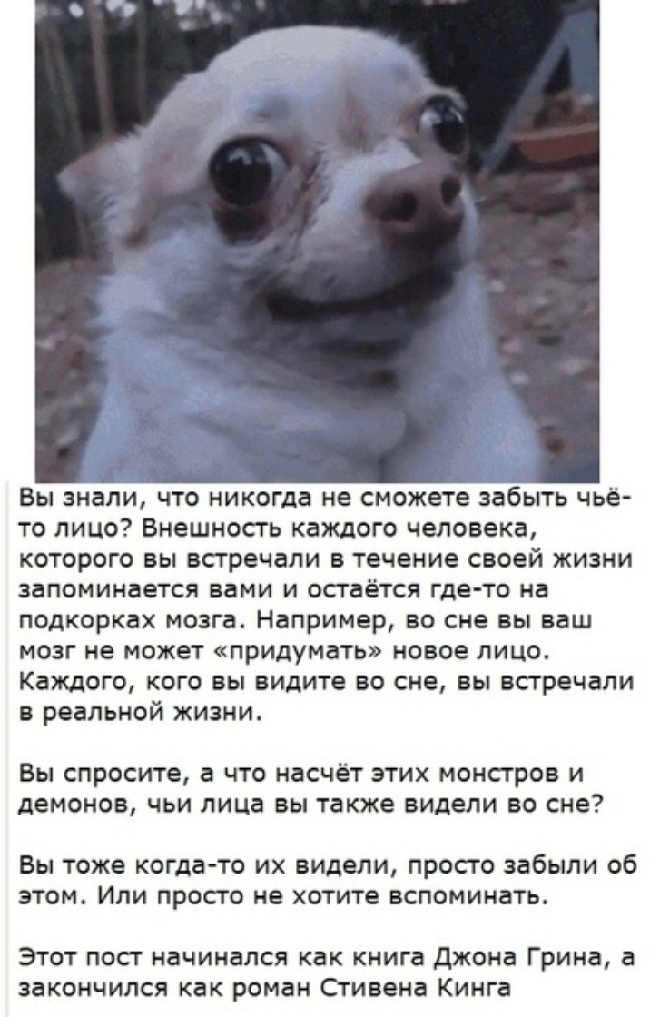 Вы знали что никогда не сможете забыть чьё то лицо Внешносгь каждого человека которого вы встречали в течение своей жизни запоминается вами и остаётся где то на подкорках мозга Например во сне вы ваш мозг не может придумать новое лицо Каждого кого вы видите во сне вы встречали в реальной жизни Вы спросите а ЧТО насчёт ЭТИХ монстров И демонов ЧЬИ лица ВЫ также видели во сне Вы тоже когда то ИХ виде