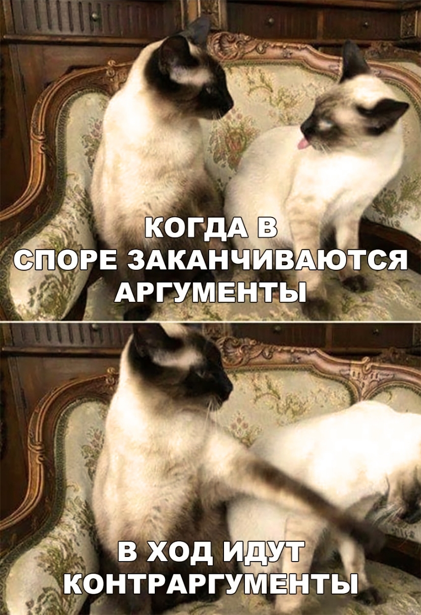 РЕ зАкднчиВАются Аргумвнггьп _ _ в ход идут контрдргумвнты