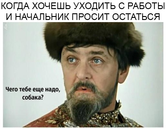 КОГДА ХОЧЕШЬ УХОДИТЬ С РАБОТЫ И НАЧАЛЬНИК ПРОСИТ ОСТАТЬСЯ Чего тебе еще надо собака