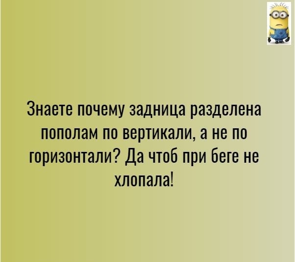 Знаете почему задница разделена пополам по вертикали а не по горизонтали Да чтоб при беге не хлопала