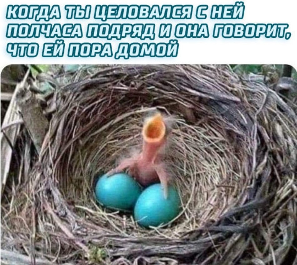 ШШЗШШШЗШЁЁ