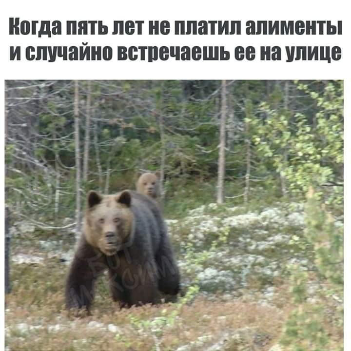 когда пять лет не платил алименты и случайно встпечаешь ее на улице