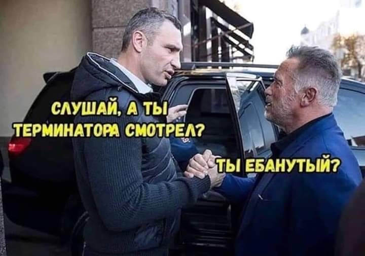 сАушдйЁіьть терииндтои смотры ьн винный _