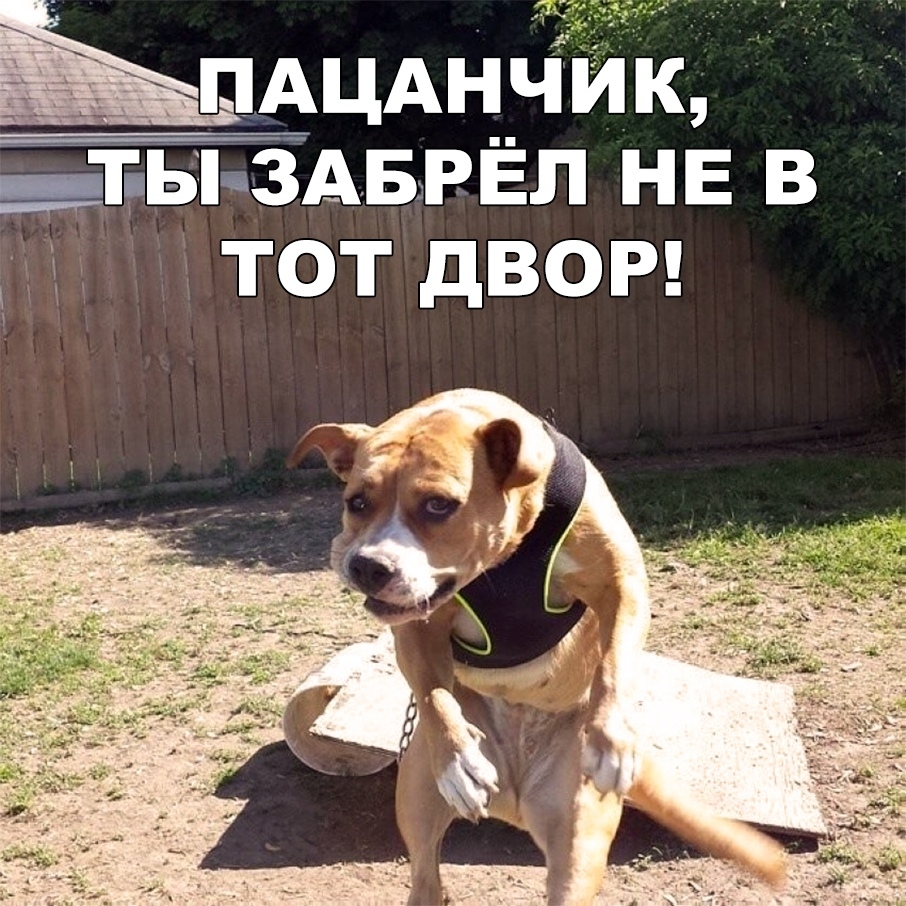 ТЬ 3АБРЕП НЕ В ТОТ дВОР