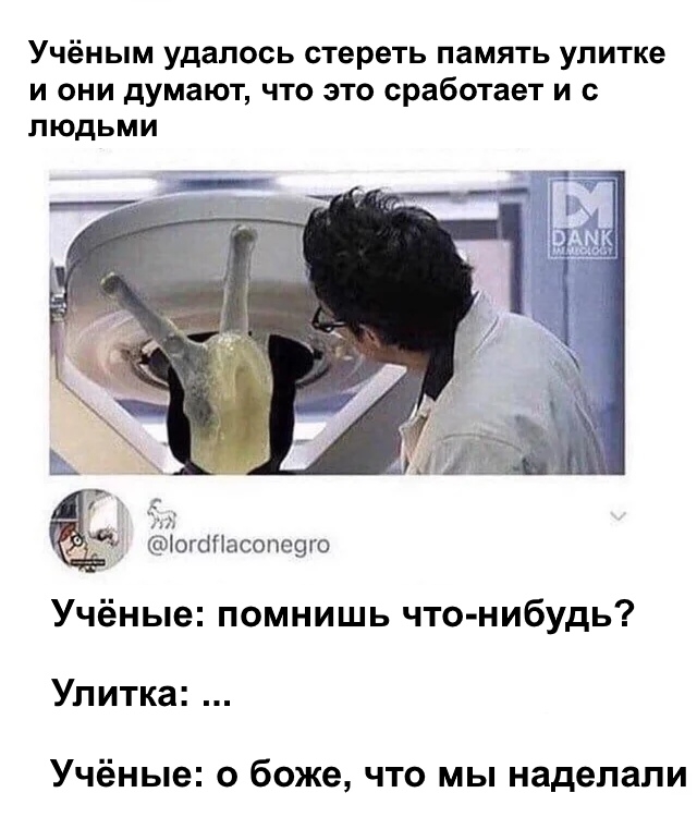 Учёным удалось стереть память улитке и они думают что это сработает и с людьми огбПасопеэго Учёные помнишь что нибудь Улитка Учёные о боже что мы наделали