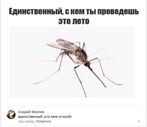 ЩИБТБВПНЫЙ КОМ ТЫ ППОВОДВШЬ это ПВП Андрей Фролов единственный кто мне атсосёт час назад Ответить