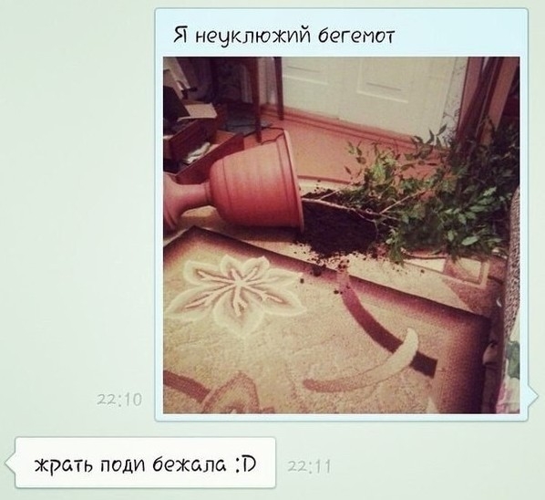Я нечкпюжий бегемот жрать поди бежала Г