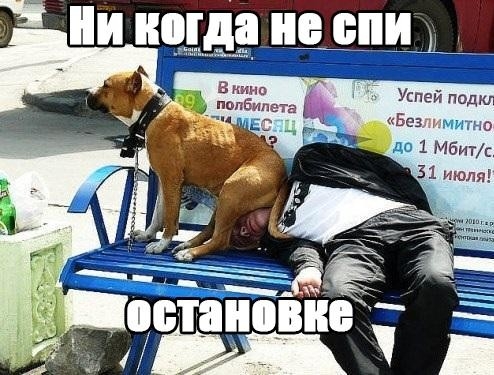 на _щ ____ В киш Успей подкл