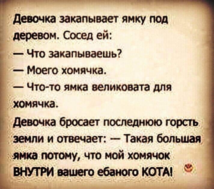 девочка закапывают ямку под деревом Сосед ей Что закапываешь Моего хомячка Чтото ямка великовата для _ хомячка девочка бросает последнюю горсть эемпи и отвечает Такая большая идтч тому что мой хомячок ватт ебаного коты 4
