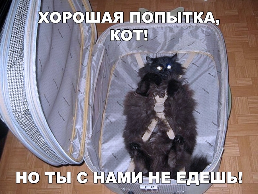 3 1 иНЕ ЕдЕЫ