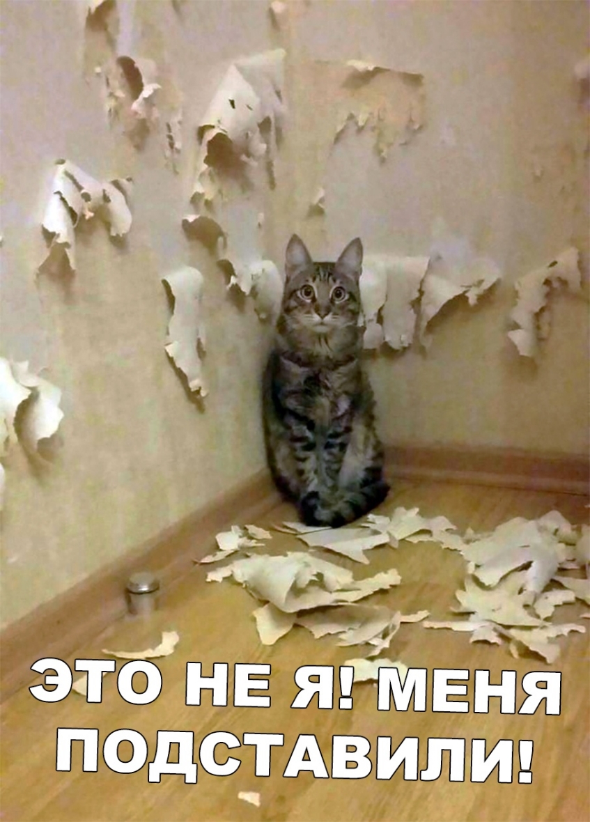 г і А И ж ________ ЕЁ ЁЩЁЁЁАБШЁШЁЮЩ