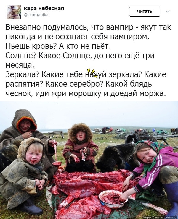 ка ра небесная тд Внезапно подумалось что вампир якут так никогда и не осознает себя вампиром Пьешь кровь А кто не пьёт Солнце Какое Солнце до него ещё три месяца Зеркала Какие тебе ДЁУЙ зеркала Какие распятия Какое серебро Какой блядь чеснок иди кри морошку и доедай моржа