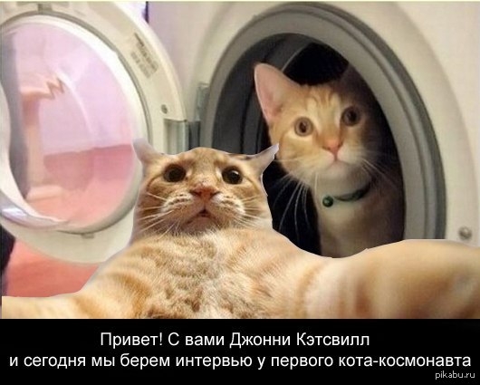 Привет С вами джонни Кэтсвипп и сегодня мы берем интервью у первого кота космонавта ь