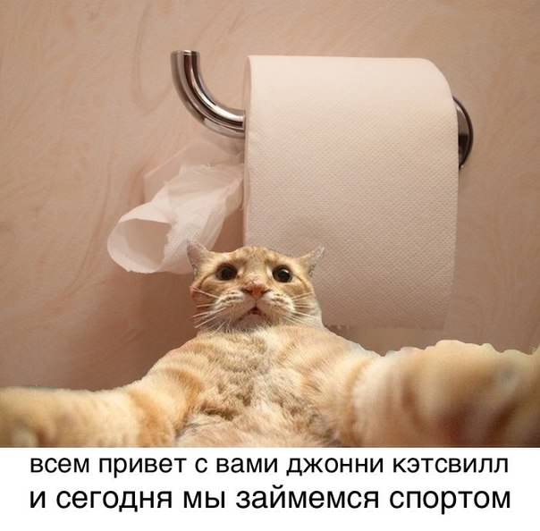 всем ПРИВЭТ С вами дЖОННИ КЭТСВИЛЛ И СВГОДНЯ МЫ займемся СП0рТОМ