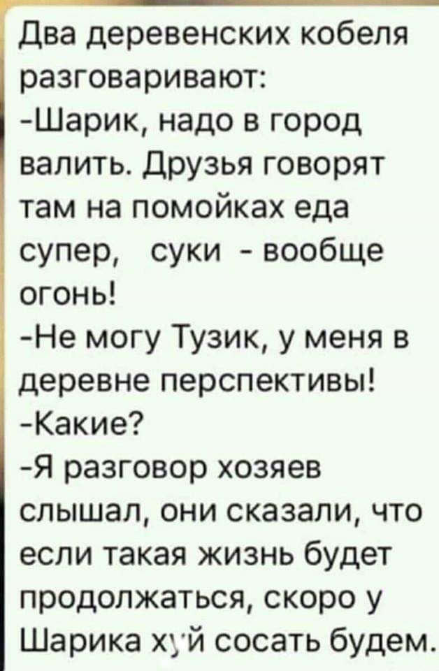 Два деревенских кобеля разговаривают Шарик надо в город валить Друзья говорят там на помойках еда супер суки вообще огонь Не могу Тузик у меня в деревне перспективы Какие Я разговор хозяев слышал они сказали что если такая жизнь будет продолжаться скоро у Шарика хуй сосать будем
