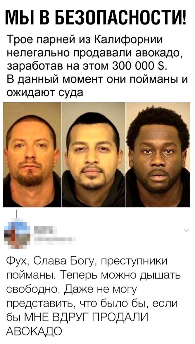 МЫ В БЕЗОПАСНОСТИ Трое парней из Калифорнии нелегально продавали авокадо заработав на этом 300 000 В данный момент они пойманы и ожидают суда З Фух Слава Богу преступники пойманы Теперь можно дышать свободно Даже не могу представить что было бы если бы МНЕ ВДРУГ ПРОДАЛИ АВОКАДО