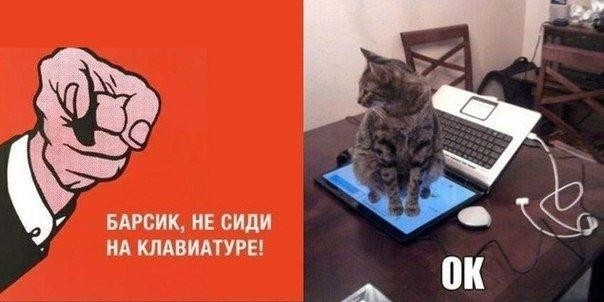 А БАРСИК НЕ СИДИ НА КЛАВИАТУРЕ р