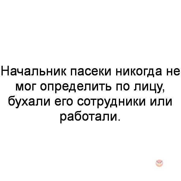 Начальник пасеки никогда не мог определить по лицу бухали его сотрудники или работали