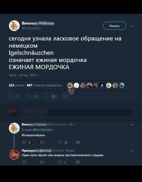 пни сегодня узнала ласковое обращение на немецком 19е5сЬпёц1сЬеп означает ежиная мордочка ВКИНАЯ МОРДОЧКА ш щ двщ 99