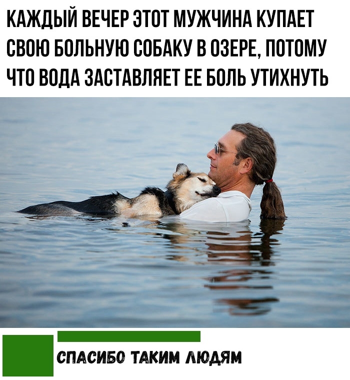 КАЖДЫЙ ВЕЧЕР ЭТОТ МУЖЧИНА КУПАЕТ СВОЮ БОЛЬНУЮ СОБАКУ В ОЗЕРЕ ПОТОМУ ЧТО ВОДА ЗАСТАВЛЯЕТ ЕЕ БОЛЬ УТИХНУТЬ СПАСИБО ТАКИМ ЛЮДЯМ