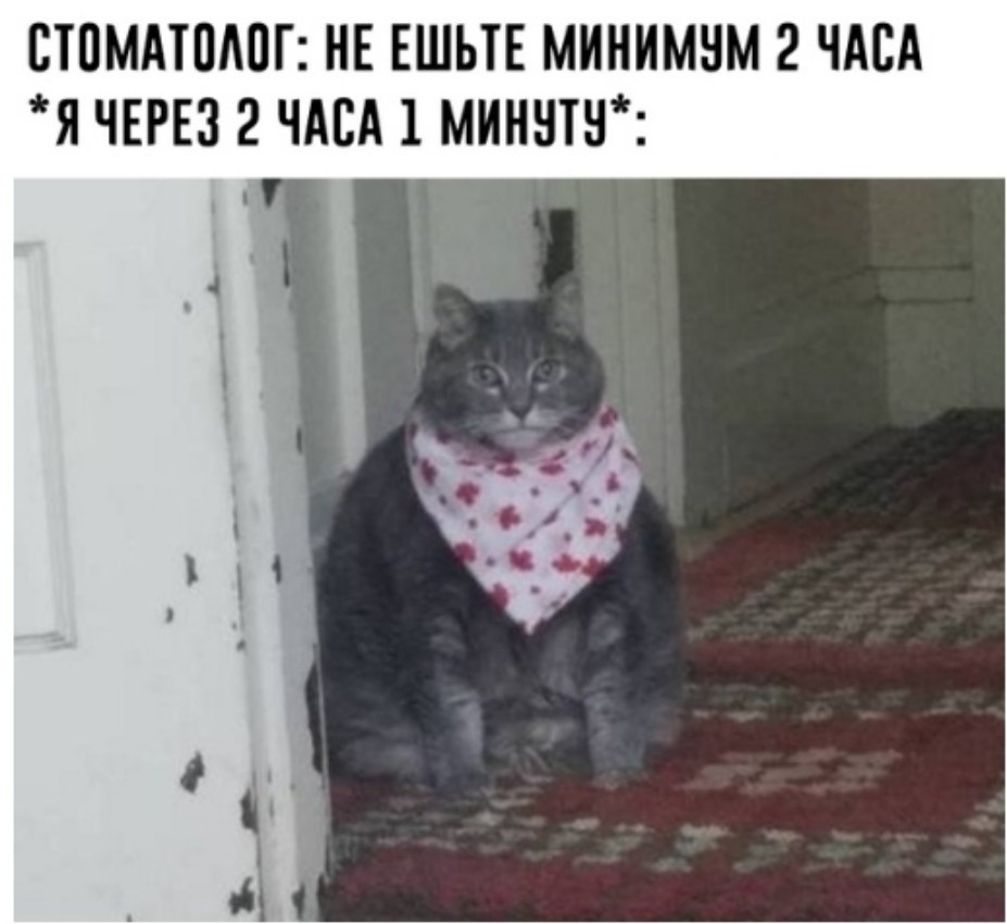 ППМАТПАПГ НЕ ЕШЬТЕ МИНИМНМ 2 ЧАСА Я ЧЕРЕЗ 2 ЧАСА 1 МИННТН