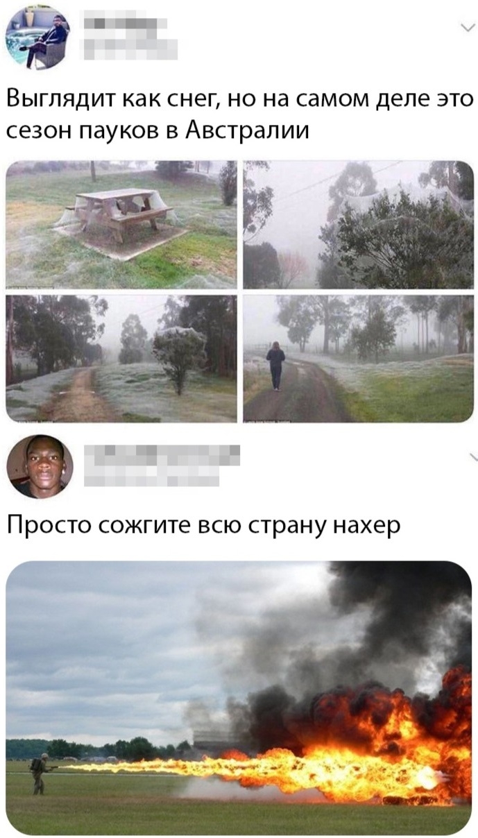 П ВЫГЛЯДИТ как СНЕГ но на самом деле ЭТО СЕЗОН ПдУКОВ В Австралии П тп Просто сожгите всю страну нахер
