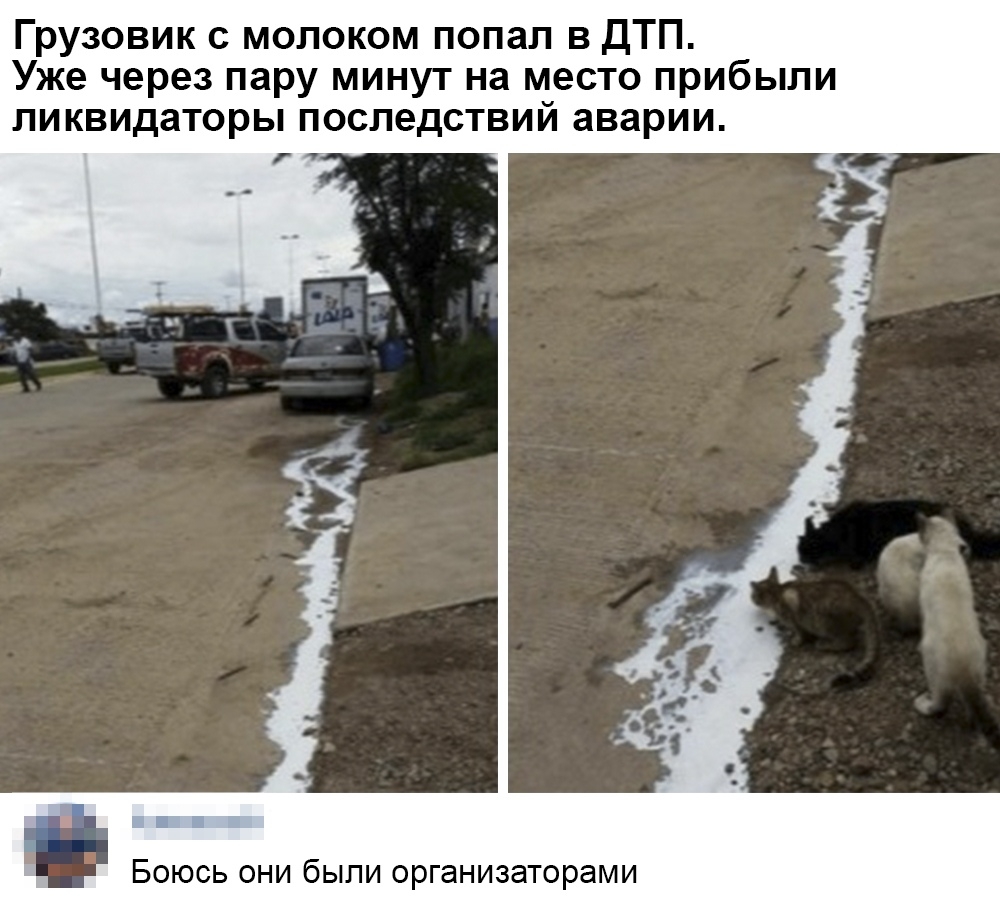 Грузовик с молоком попал в ДТП Уже через пару минут на место прибыли ликвидаторы последствий аварии Боюсь они были организаторами
