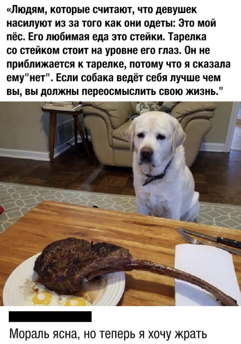 Людям которые считают что девушек насилуют из за того как они одеты Это мой пёс Его любимая еда это стейки Тарелка со стейком стоит на уровне его глаз Он не приближается к тарелке потому что я сказала емунет Если собака ведёт себя лучше чем вы вы должны переосмыслить свою жизнь Мораль ясна но теперь я хочу жрать