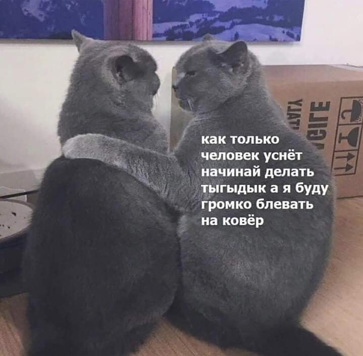 как только человек уснёт начинай делать тмгыдык а я буду Громко блевать на ковёр
