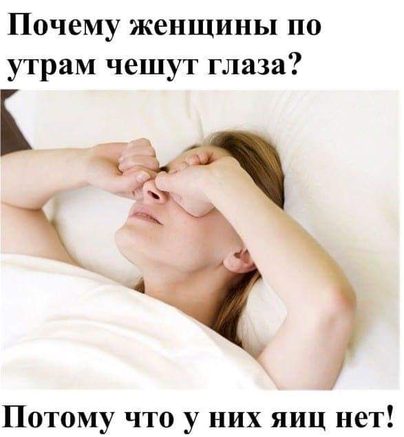 Почему женщины по утрам чешут глаза Потому что у них яиц нет