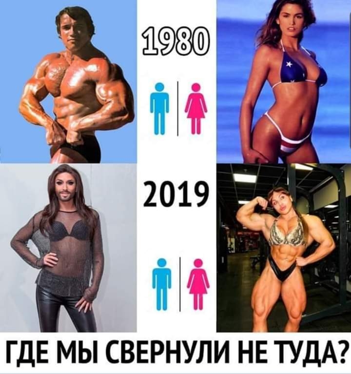 ГДЕ МЫ СВЕРНУЛИ НЕ ТУДА