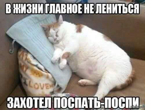 вжизнйппдвібінъпшитьпг въ ЗШШТШ я _ _ ь а