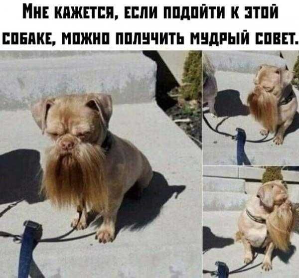 ИЕ КПЖЕТЕЯ ЕСЛИ ППдПЙТИ К ЗТПЙ ЕПБПКЕ МПЖНП ППЛНЧИТЬ МЕДНЫЙ ШВП