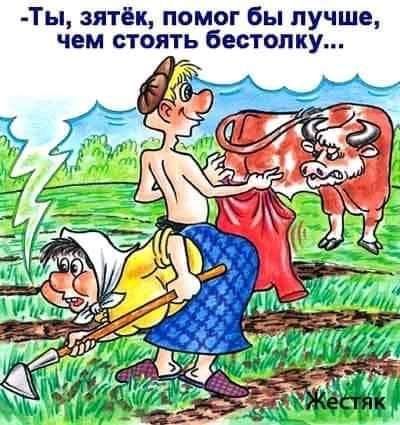 Ты зятёк помог бы лучше чем стоять бестолку