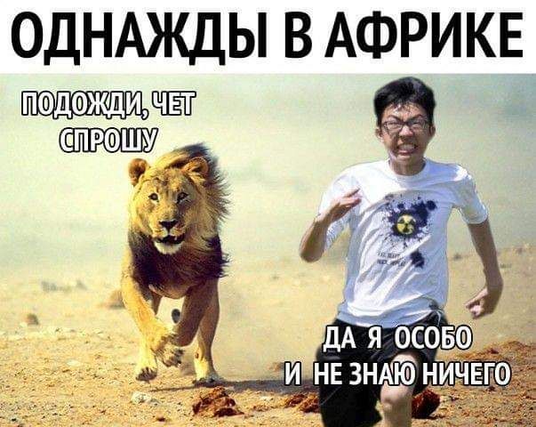 ОДНАЖДЫ В АФРИКЕ спршшу
