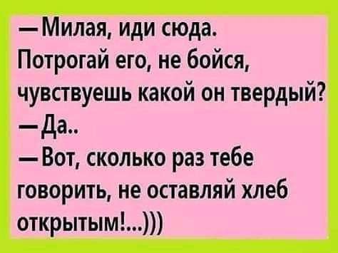 Милая иди сюда Потротай его не бойся чувствуешь какой он твердый Да Вот сколько раз тебе говорить не оставляй хлеб открытым