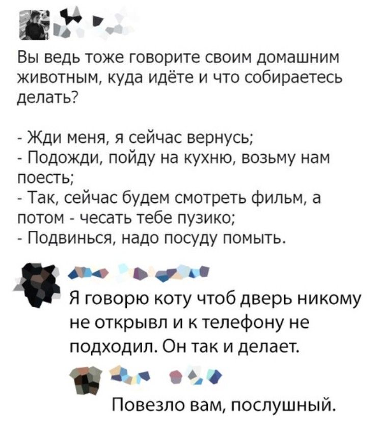 Вы ведь тоже говорите своим домашним животным куда идёте и что собираетесь делать Жди меня я сейчас вернусь Подожди пойду на кухню возьму нам поесть Так сейчас будем смотреть фильм а потом чесать тебе пузико Подвинься надо посуду помыть _ и Я говорю коту чтоб дверь никому не открывл и к телефону не подходил Он так и делает а 000 Повезло вам послушный